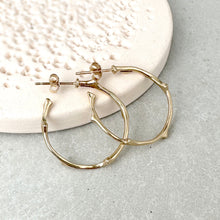 Load image into Gallery viewer, Twig Medium Hoop Earrings