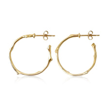 Load image into Gallery viewer, Twig Medium Hoop Earrings