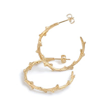 Load image into Gallery viewer, Barberry Hoop Textured Earrings in 9 carat gold