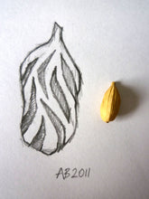 Load image into Gallery viewer, Spice Island Earrings