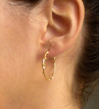 Load image into Gallery viewer, Twig Hoop Earrings
