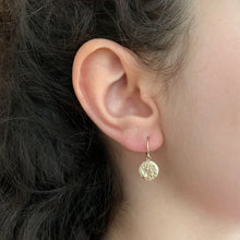 Load image into Gallery viewer, Constellation Drop Earrings