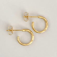 Load image into Gallery viewer, Hebe Twig Small Hoop Earrings