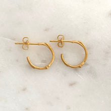 Load image into Gallery viewer, Willow Twig Small Hoop Earrings
