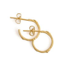 Load image into Gallery viewer, Willow Twig Small Hoop Earrings
