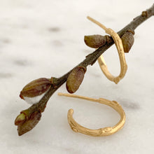 Load image into Gallery viewer, Willow Twig Small Hoop Earrings
