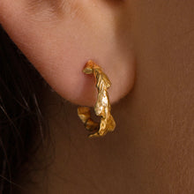 Load image into Gallery viewer, Conifer Leaf Hoop Earrings
