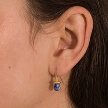 Load image into Gallery viewer, Marigold Twig Drop Earrigns with Iolite Drops
