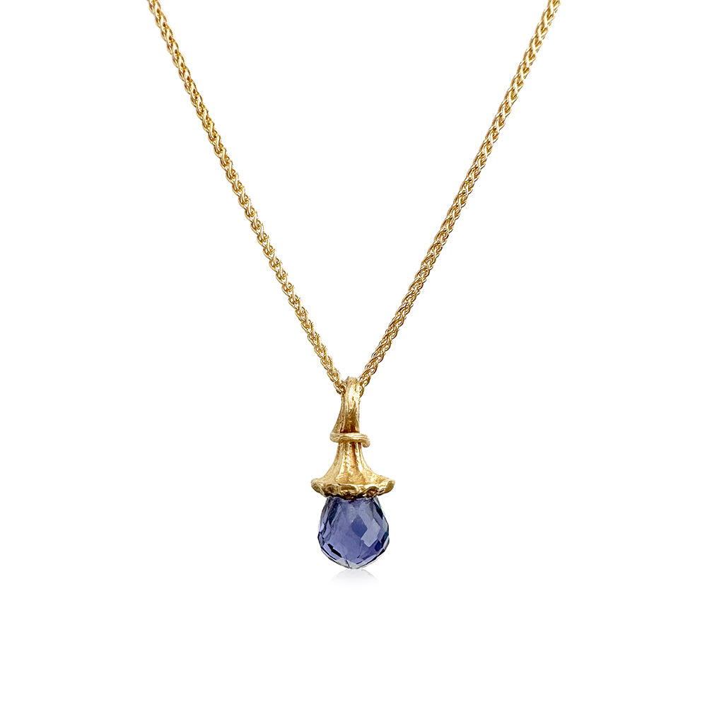 Marigold Twig Drop Necklace with Iolite Drop