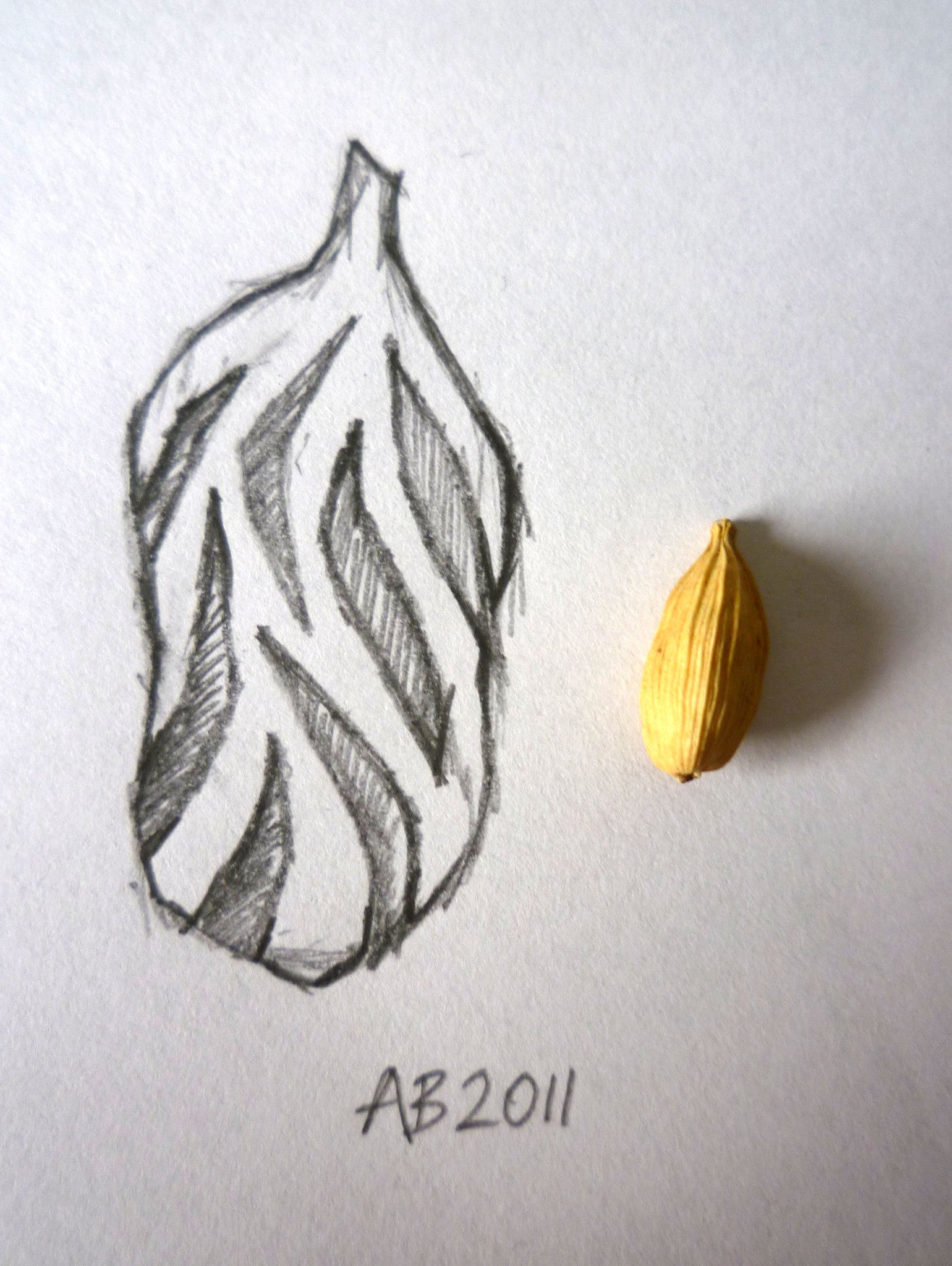 Spice Island Necklace