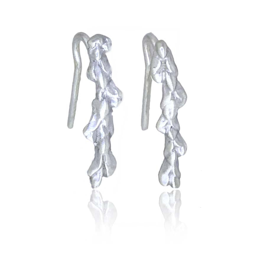 Conifer Leaf Ear Crawlers