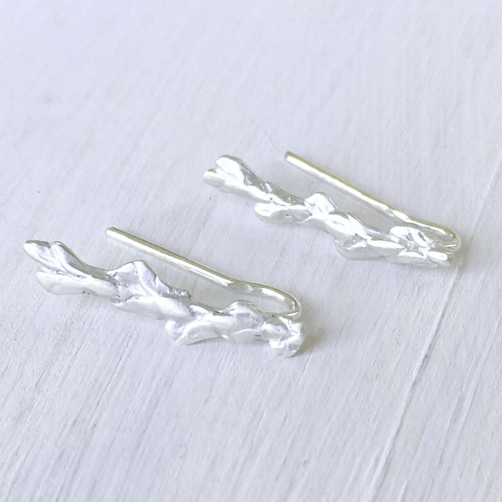 Conifer Leaf Ear Crawlers