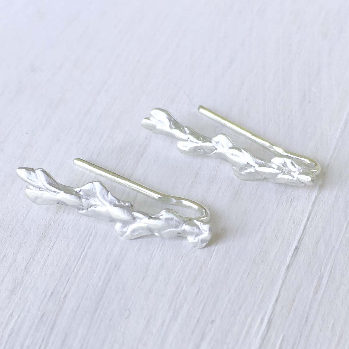 Conifer Leaf Ear Crawlers