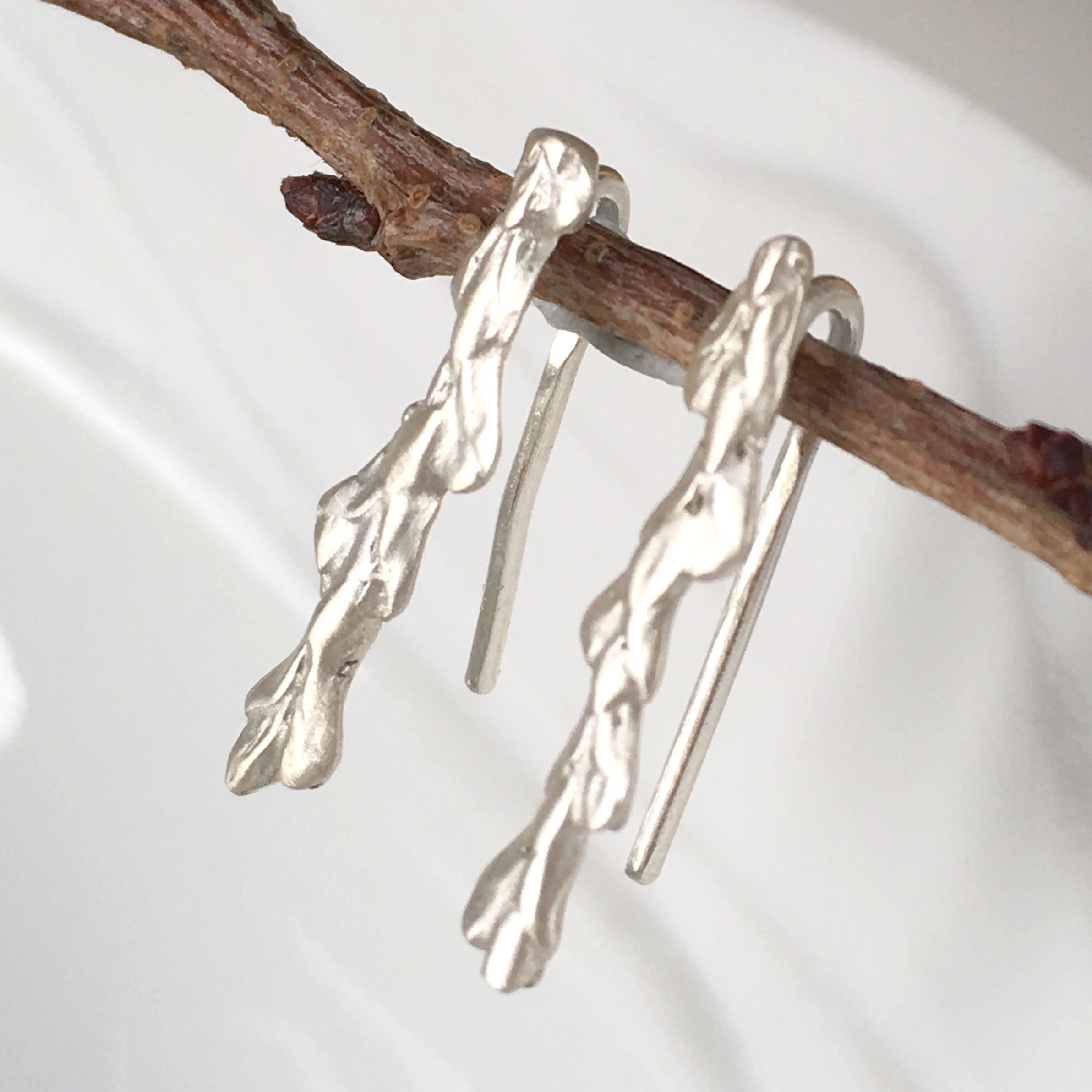 Conifer Leaf Ear Crawlers