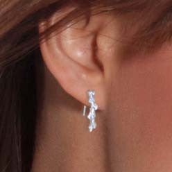 Conifer Leaf Ear Crawlers