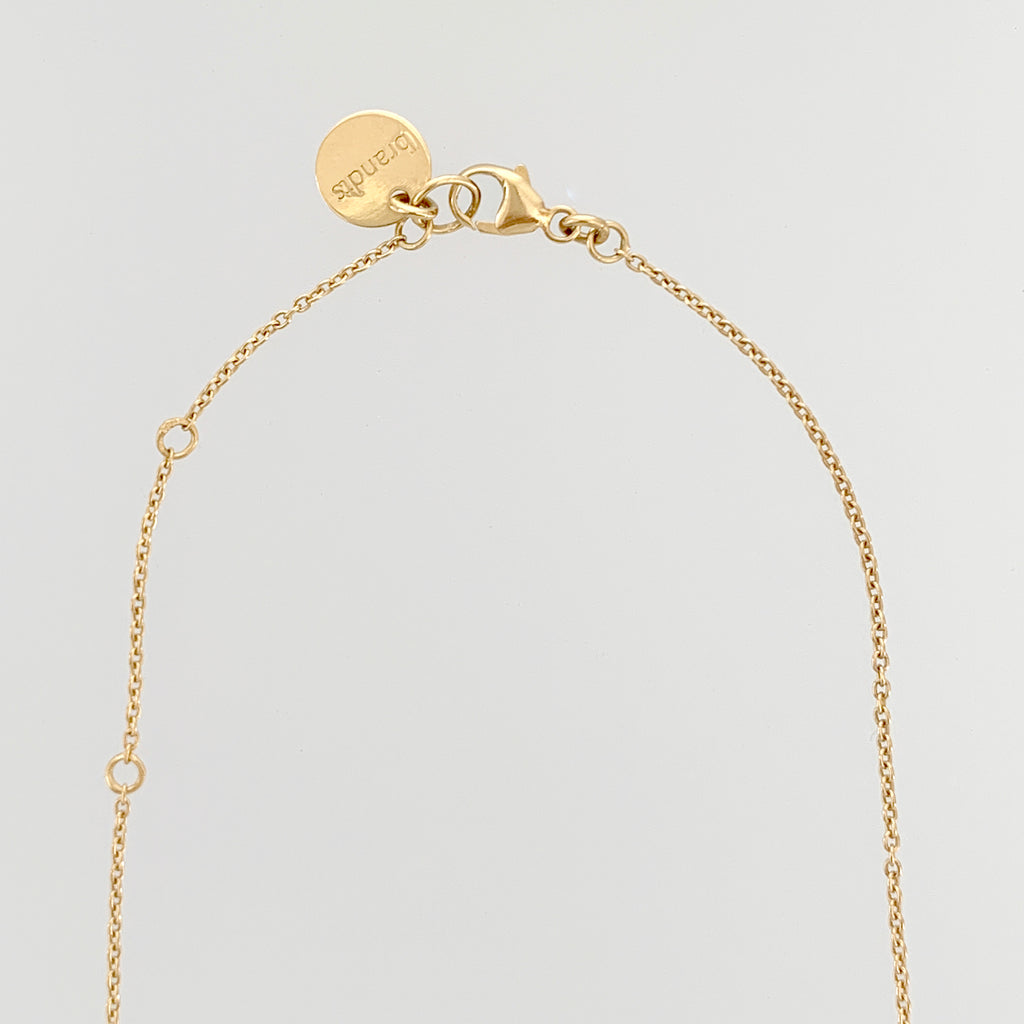 Willow Twig Necklace with Circle Charm