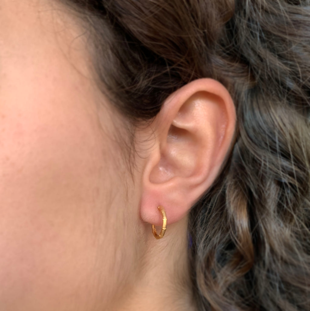 Hebe Twig Small Hoop Earrings