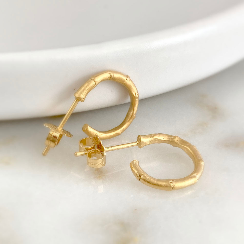 Hebe Twig Small Hoop Earrings