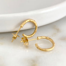 Load image into Gallery viewer, Hebe Twig Small Hoop Earrings
