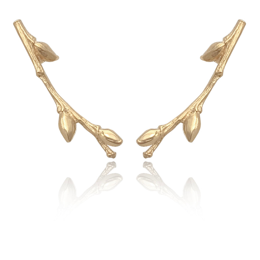 Willow Twig Ear Crawlers