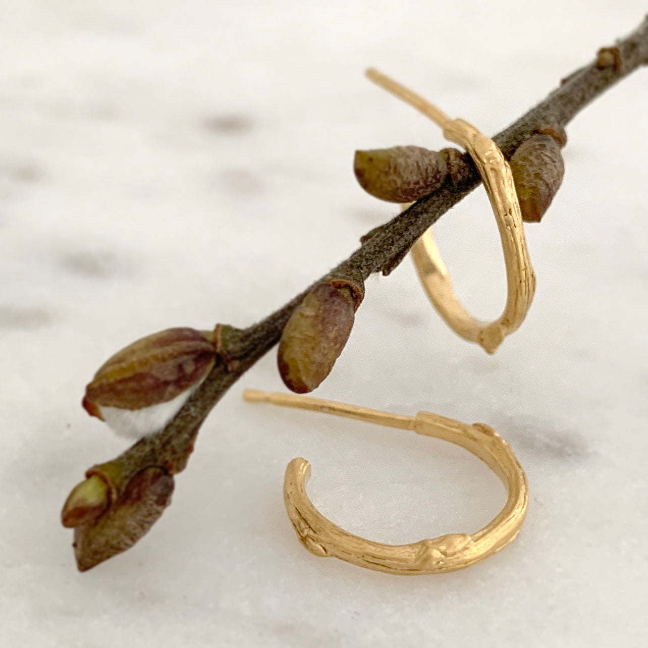 Willow Twig Small Hoop Earrings